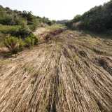 In questo punto termina il parco visitabile, visto che una rete impedisce di proseguire. Ma non ci perdiamo d�animo e riusciamo ad aggirare la recinzione, inoltrandoci nel letto dell�antico Tiflis che mostra ancora i segni degli ultimi acquazzoni: strati di fango solidificato e piante piegate